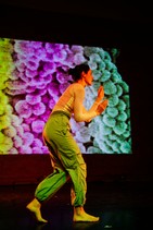 dsc_6510c.jpg