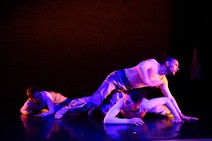 dsc_6628c.jpg