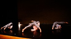 dsc_6779c.jpg