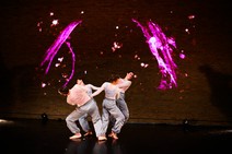 dsc_6931c.jpg