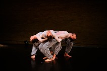 dsc_6974c.jpg