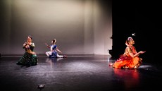 dsc_5188c.jpg