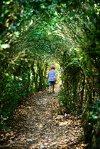 dsc_0099c.jpg