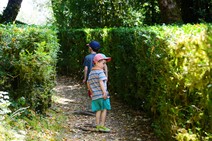dsc_0102c.jpg
