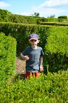dsc_0108c.jpg
