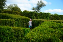 dsc_0111c.jpg