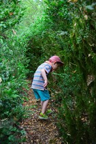 dsc_0120c.jpg