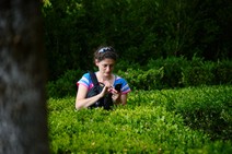 dsc_0127c.jpg