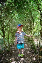 dsc_0140c.jpg