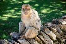 dsc_0355c.jpg