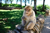 dsc_0357c.jpg