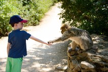 dsc_0368c.jpg