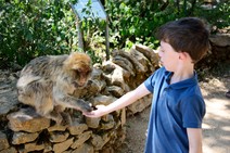 dsc_0373c.jpg