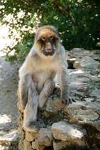 dsc_0374c.jpg