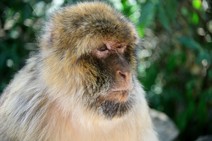 dsc_0376c.jpg