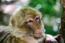dsc_0402c.jpg