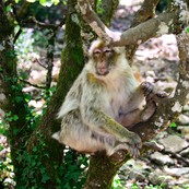 dsc_0404c.jpg