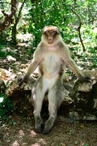 dsc_0410c.jpg