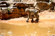 dsc_0417c.jpg