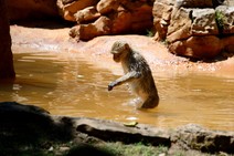 dsc_0419c.jpg