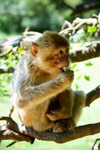 dsc_0457c.jpg