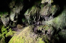 dsc_0475c.jpg