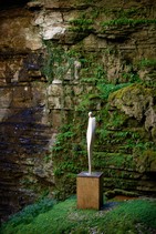 dsc_0482c.jpg