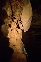dsc_0507c.jpg
