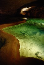 dsc_0516c.jpg