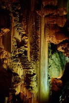 dsc_0545c.jpg