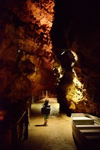 dsc_0551c.jpg
