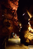 dsc_0553c.jpg