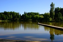 dsc_0617c.jpg