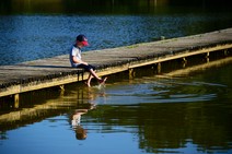 dsc_0650c.jpg