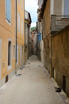 dsc_0706c.jpg