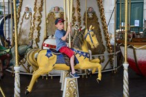 dsc_0732c.jpg
