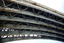 dsc_0808c.jpg