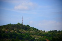 dsc_0829c.jpg